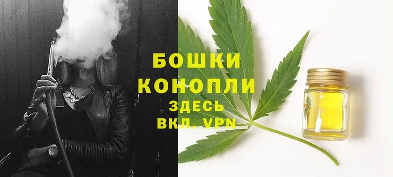 shop как зайти  где можно купить   Вятские Поляны  Бошки марихуана OG Kush 